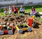 IMG-20190510-WA0005-1